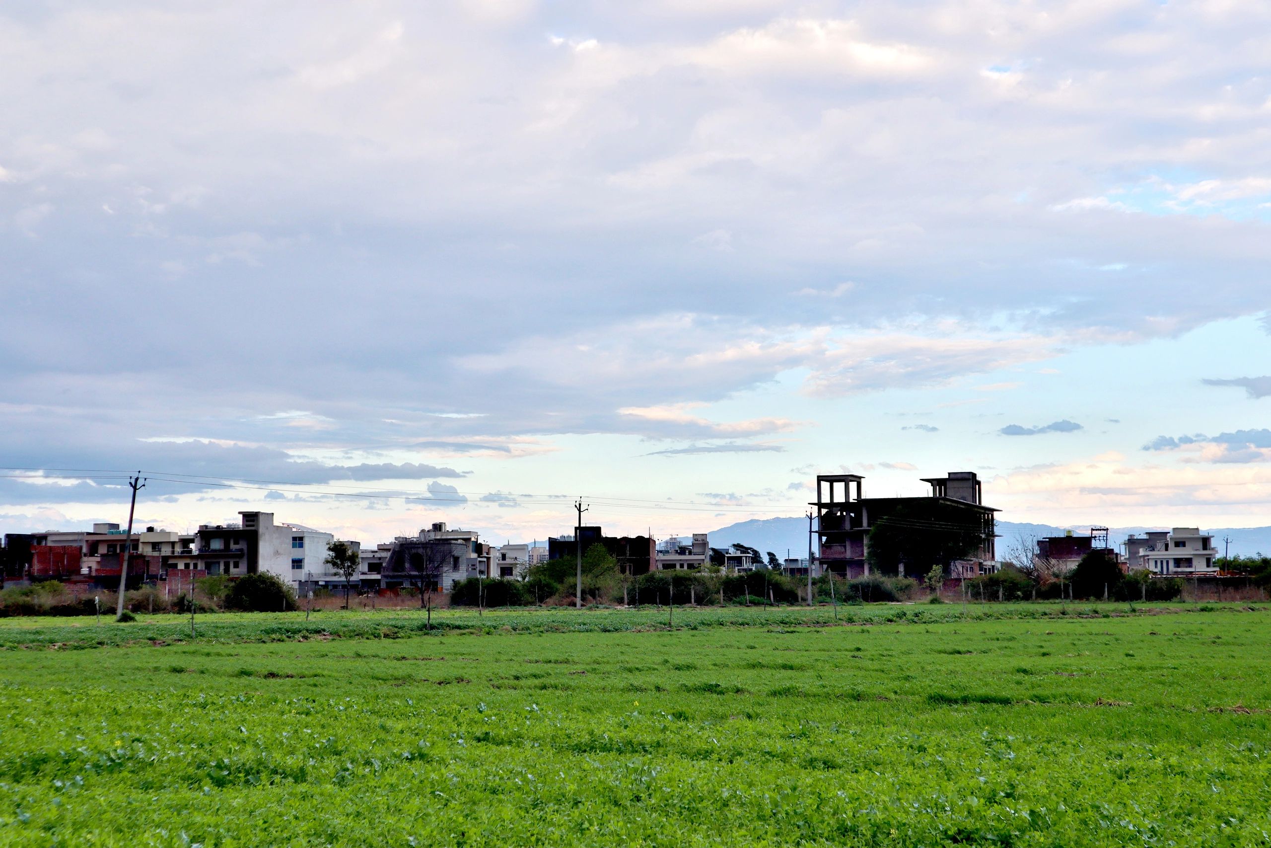 Open green field and farmland landscape